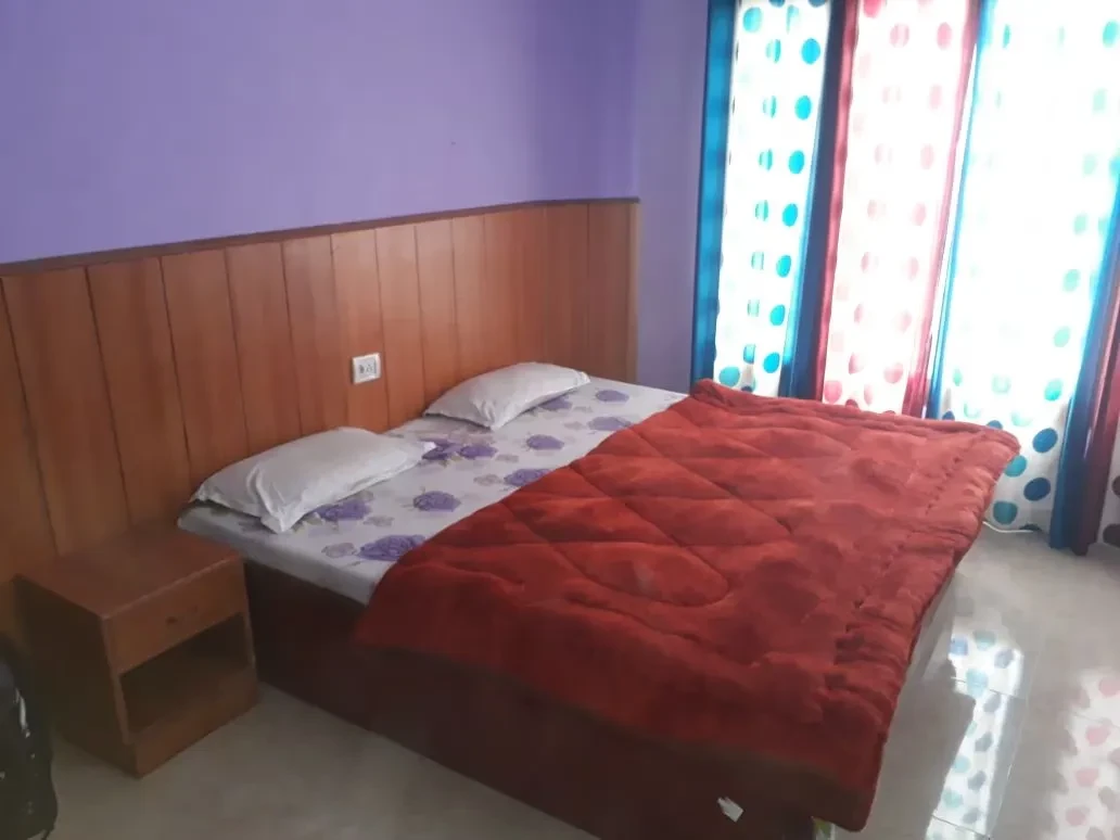 Hotel And Restaurant Dhauli Ganga Pipalkoti [City View From Room]